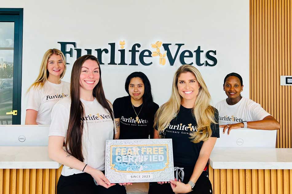 FurlifeVets vet fear free certified fear free vet near me fear free certified vet fear free animal hospital fear free certified veterinarian