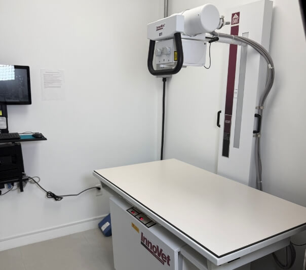 Digital veterinary X-ray machine and imaging table at FurlifeVets.