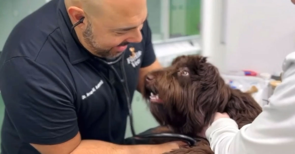 FurlifeVets Breaks Barriers with Complimentary First-Time Office Visits for Pet Owners