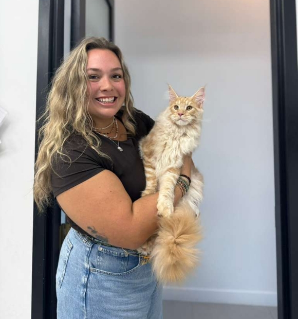 Veterinarian in Delray Beach, FL | FurlifeVets