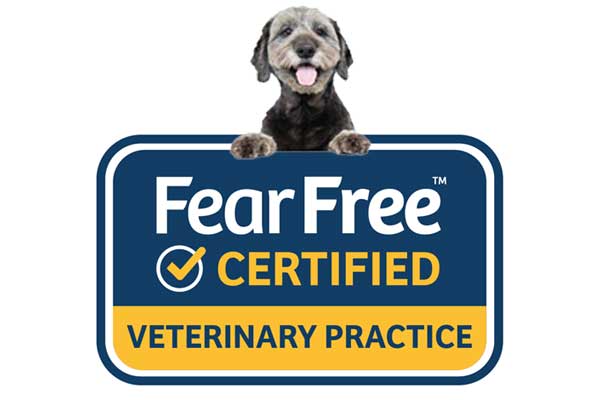 FearFree- Fear Free Vet Clinic Hospital in Delray Beach, Florida | FurlifeVets