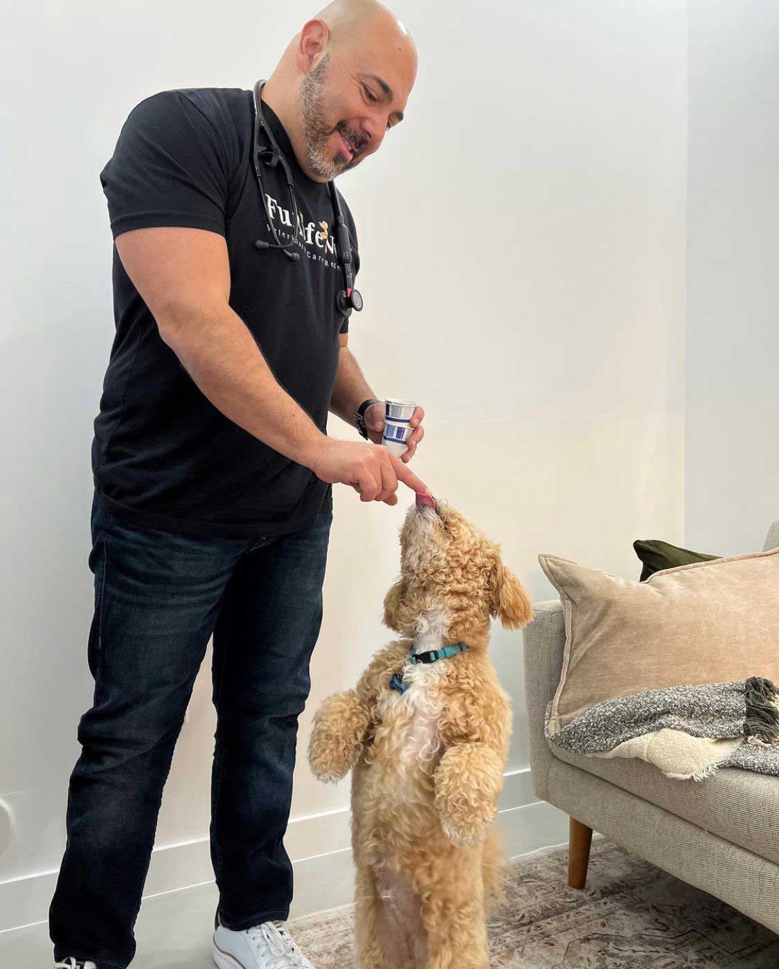 Jesus What To Expect At FurlifeVets - Veterinary Animal Hospital Serving Delray Beach, Boca Raton, Boynton Beach, Wellington, West Palm Beach, and beyond.