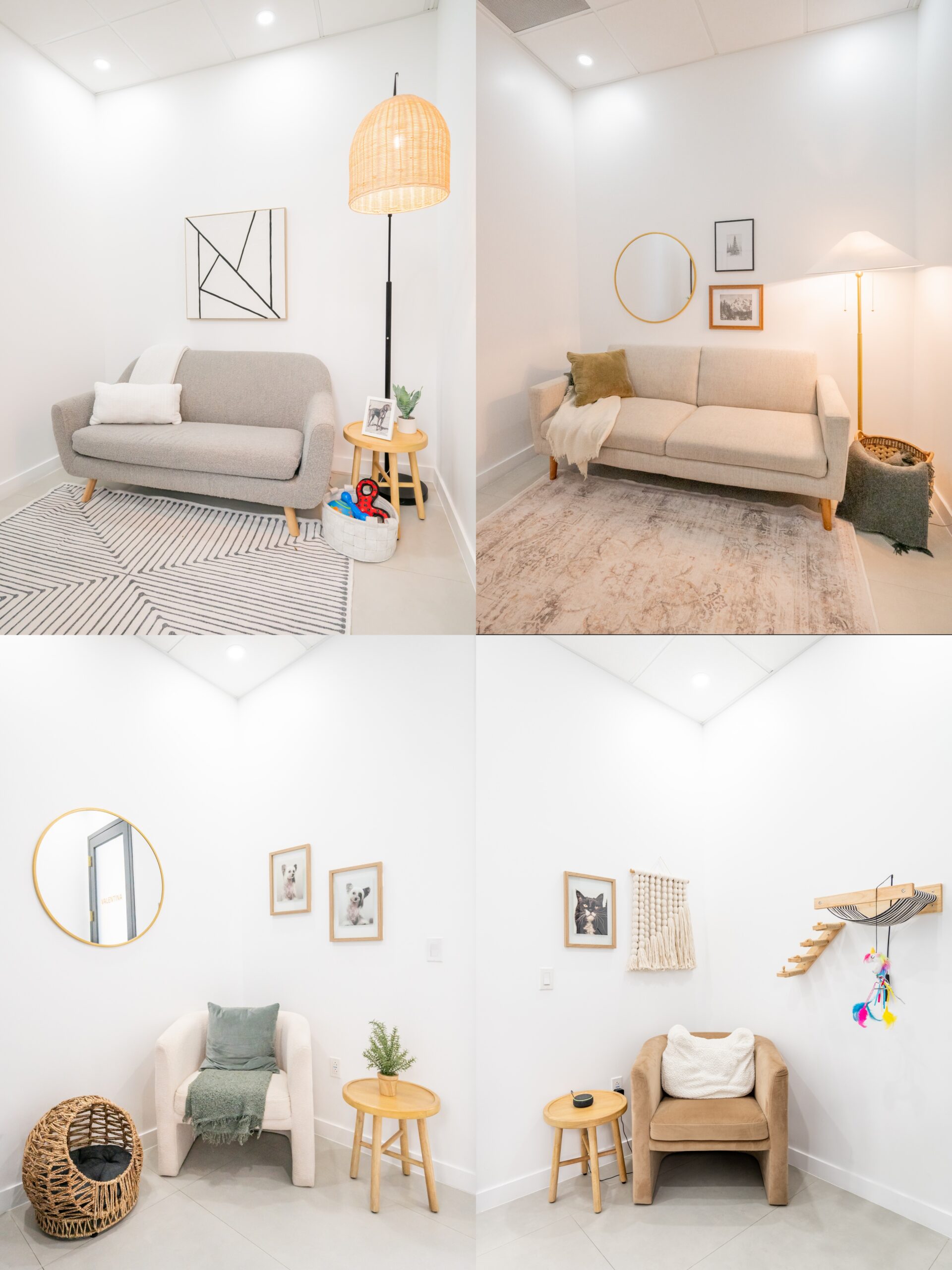 collage What To Expect At FurlifeVets - Veterinary Animal Hospital Serving Delray Beach, Boca Raton, Boynton Beach, Wellington