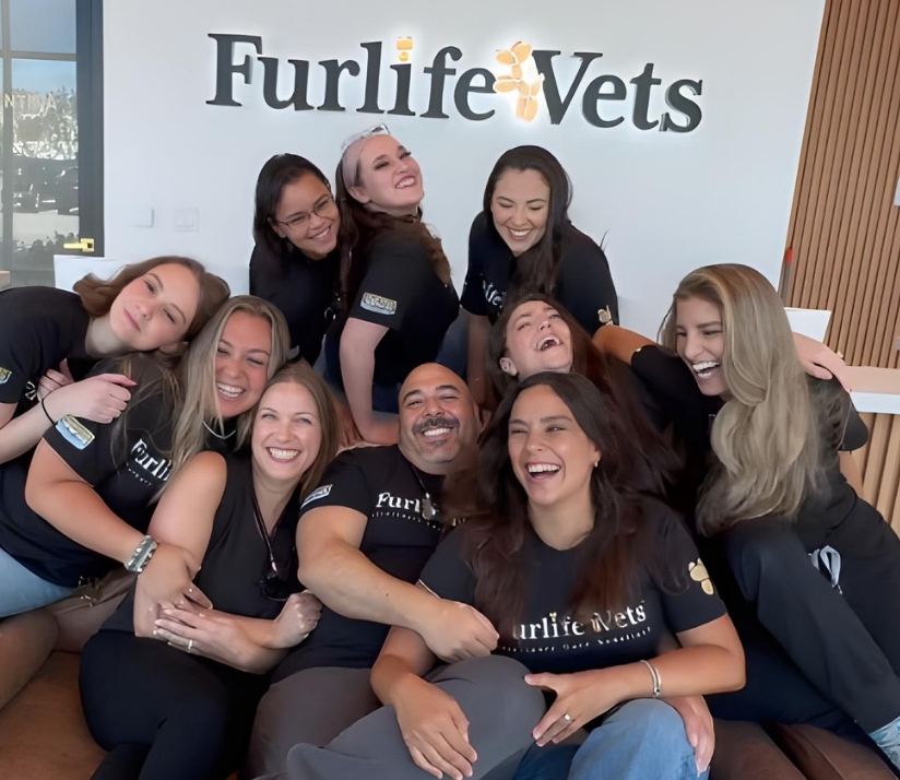 Veterinarian in Delray Beach, FL | FurlifeVets