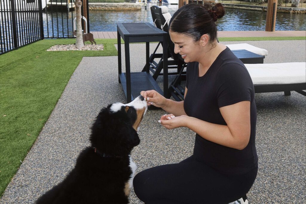 Best Dog Trainers in Delray Beach (2026 Guide)