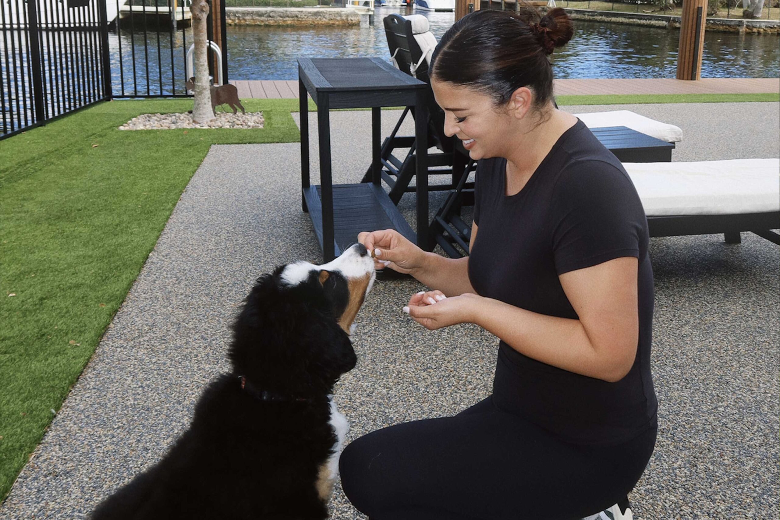 FeatImage Best Dog Trainers in Delray Beach (2026 Guide) | FurlifeVets