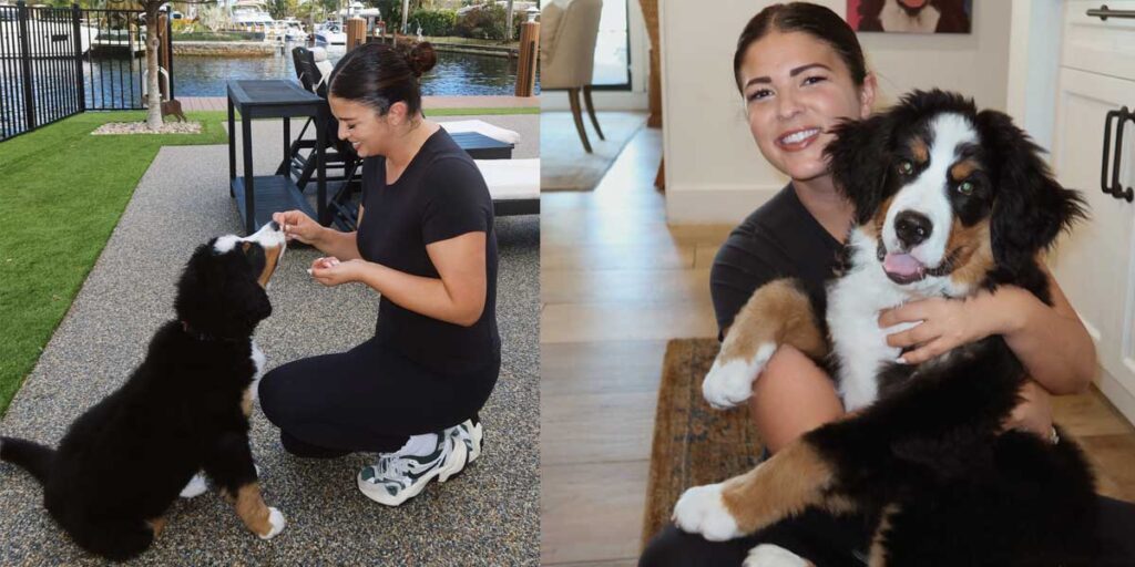 Best Dog Trainers in Delray Beach (2026 Guide) | FurlifeVets