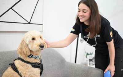 When to Take Your Pet to an Emergency Vet: 10 Serious Signs Pet Owners Should Never Ignore