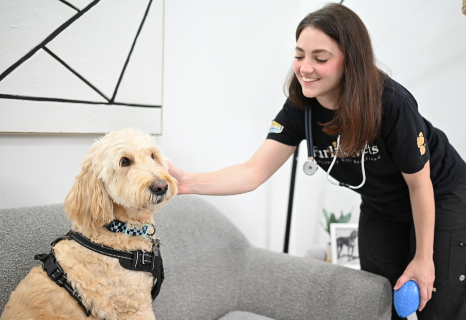 FeaturedImage when to take pet to emergency vet