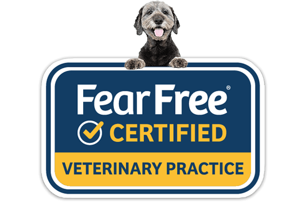 Fear Free Vet Clinic Hospital in Delray Beach, Florida | FurlifeVets