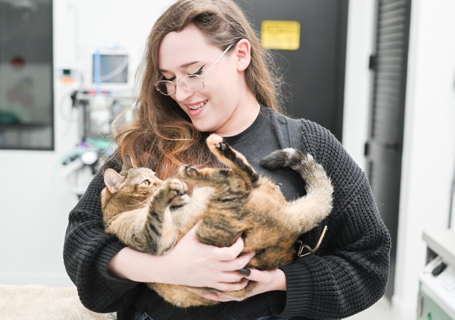 Cat Boarding in Delray Beach: What to Look For