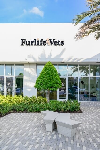 FurlifeVets Veterinary Hospital in Delray Beach