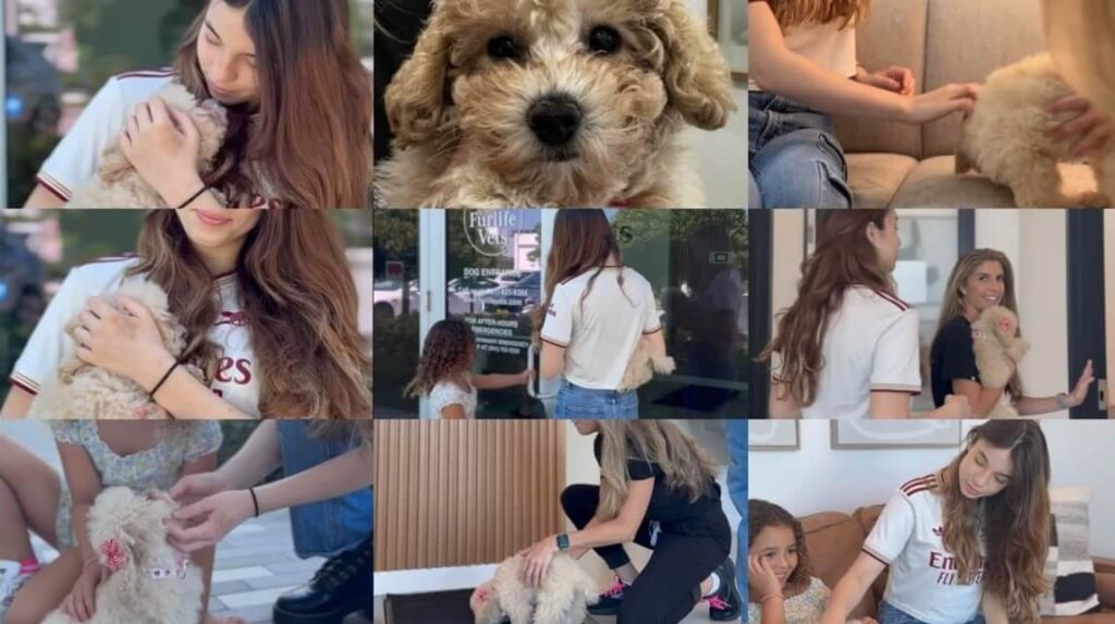New Puppy Vet in Delray Beach