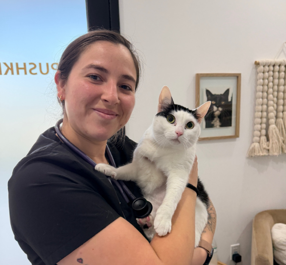 FurlifeVets Staff Cat Friendly Boarding in Delray Beach Florida