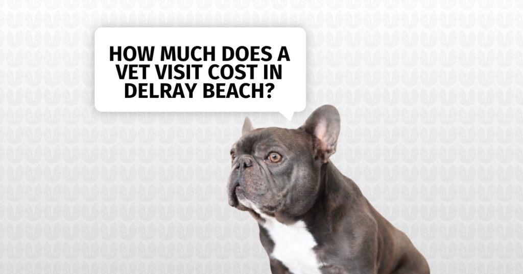 How Much Does a Vet Visit Cost in Delray Beach?