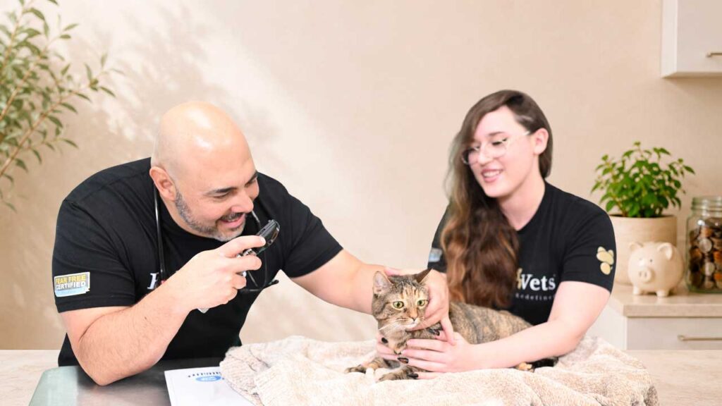 Vet Visit Cost in Delray Beach, Florida