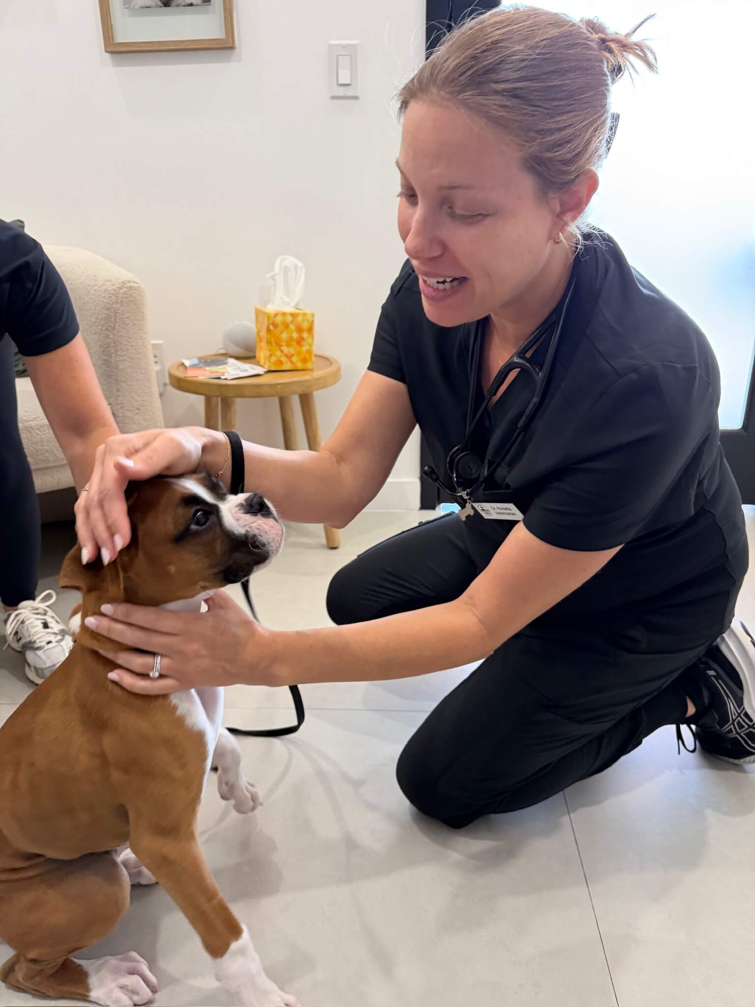 FurlifeVets veterinarian providing compassionate veterinary care in Delray Beach, Florida