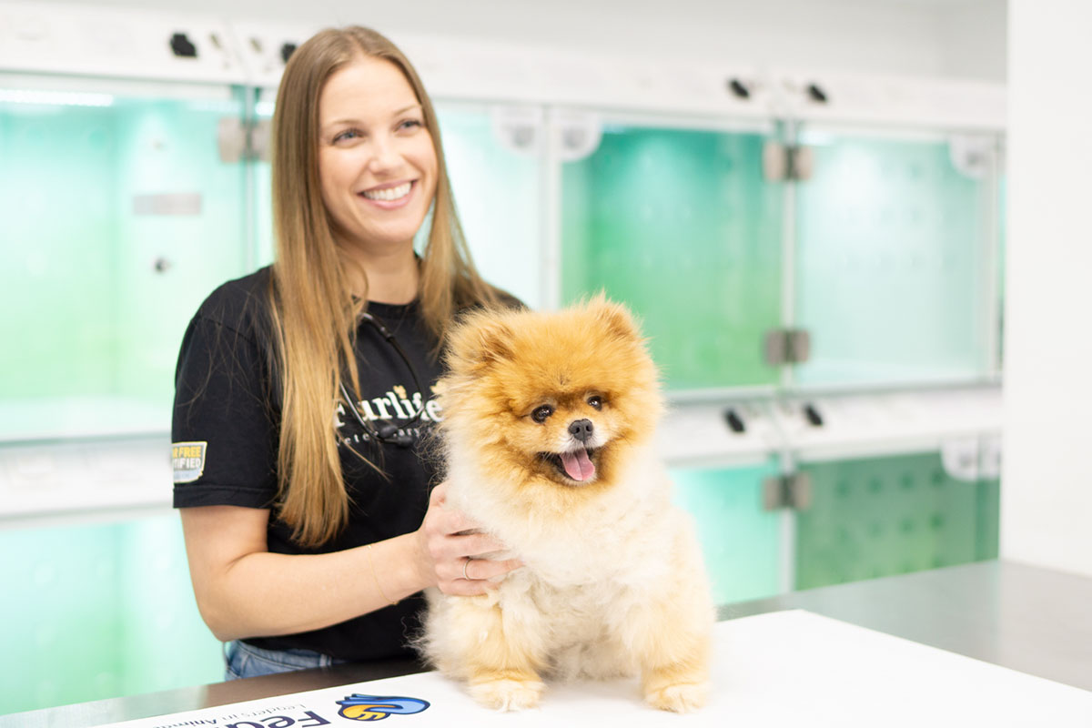 Fear Free veterinary experience for pets at FurlifeVets Pet Hospital