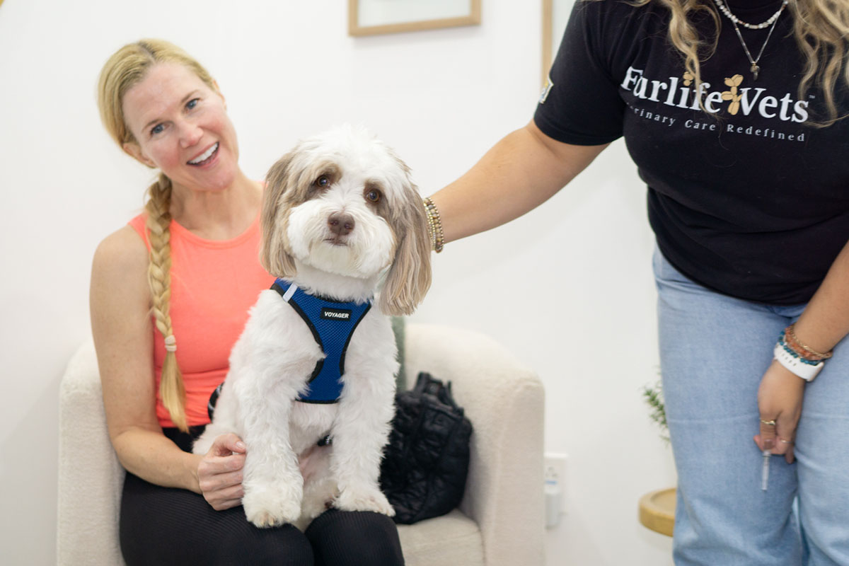 FurlifeVets veterinary professionals caring for a local pet