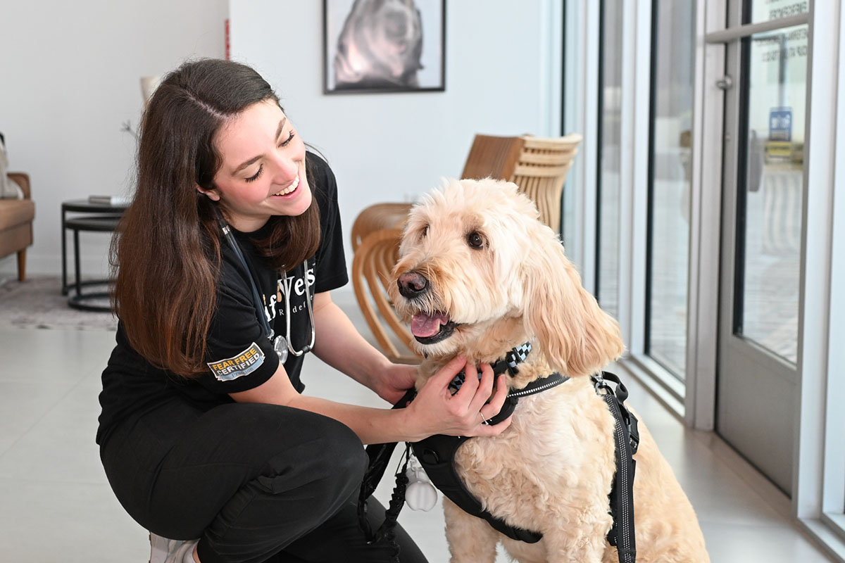 Modern Fear Free veterinary care at FurlifeVets in Delray Beach, Florida