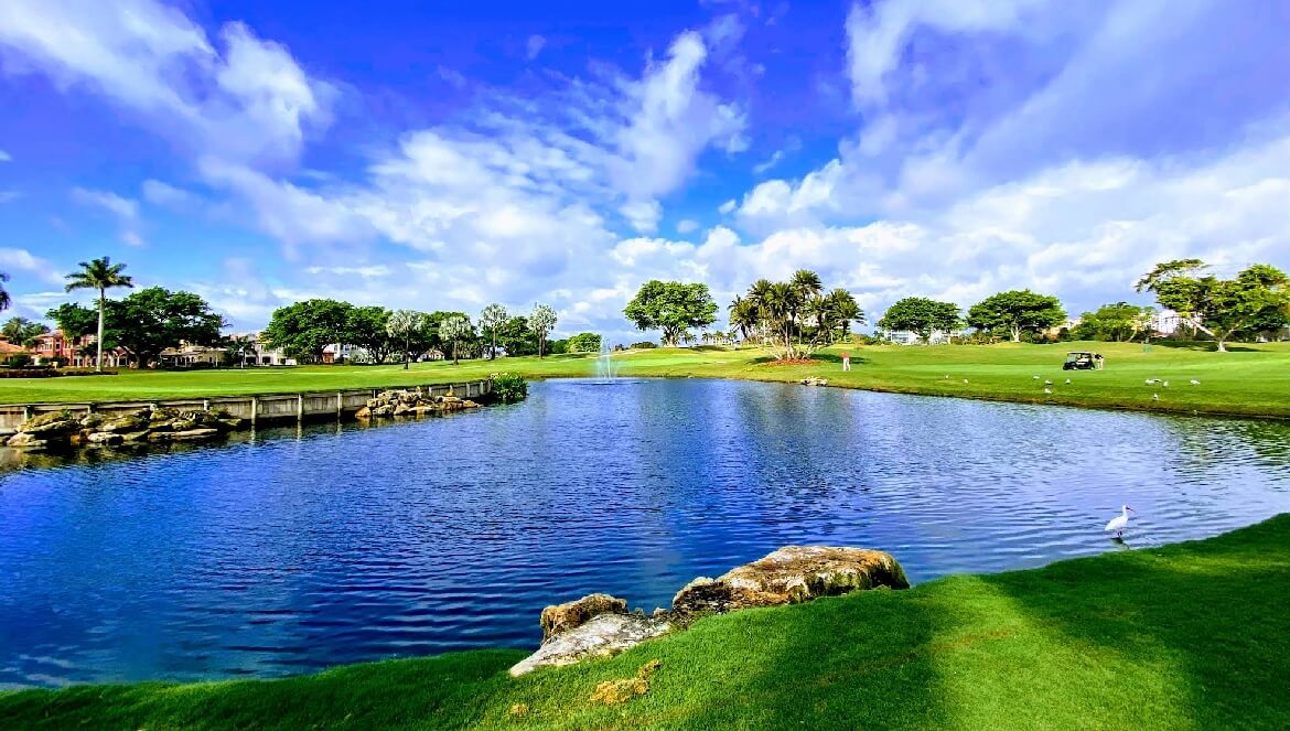 Boca Raton veterinarian