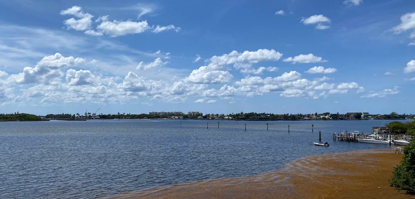 Boynton Beach veterinarian