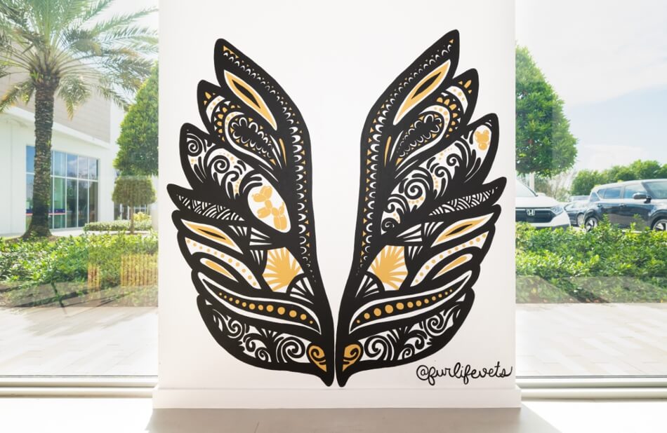 East Delray Beach veterinarian