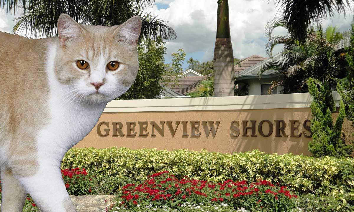 veterinarian near Greenview Shores Wellington