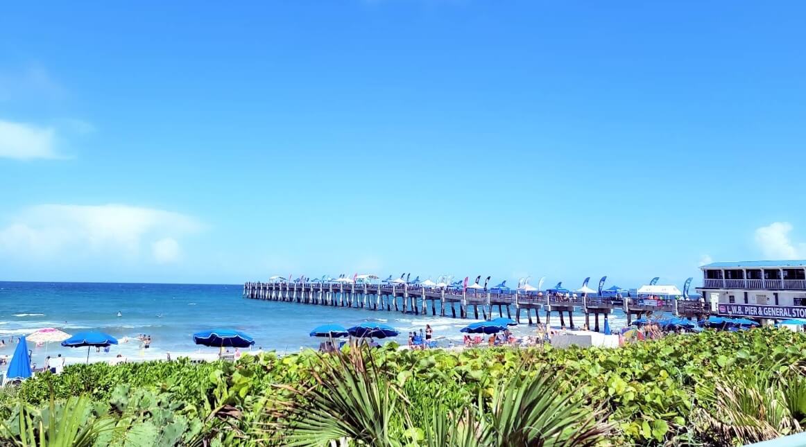 Lake Worth veterinarian