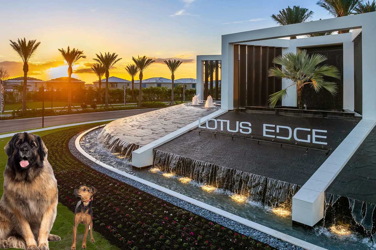 Veterinarian Near Lotus Edge