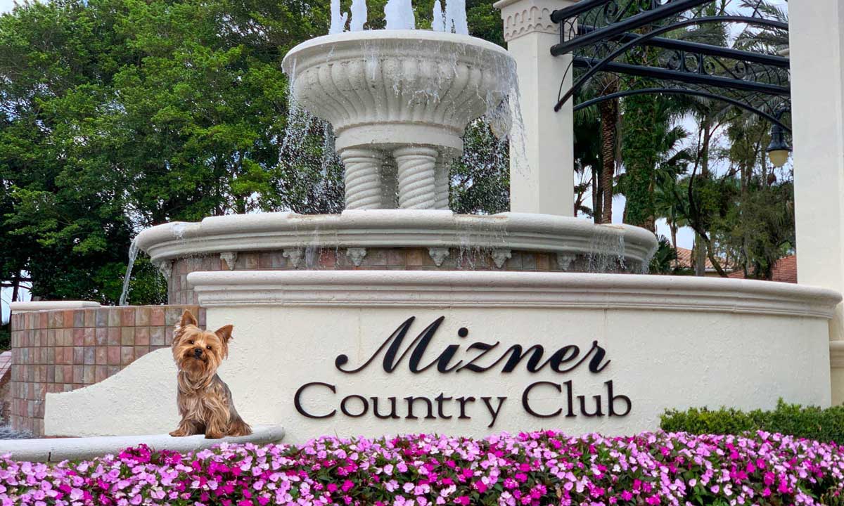 Veterinarian Mizner Country Club West Delray Beach