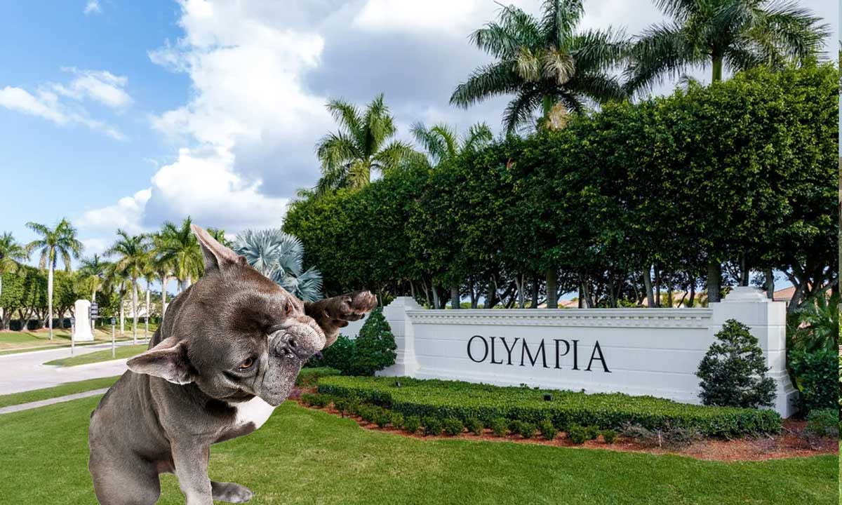 veterinarian near Olympia Wellington