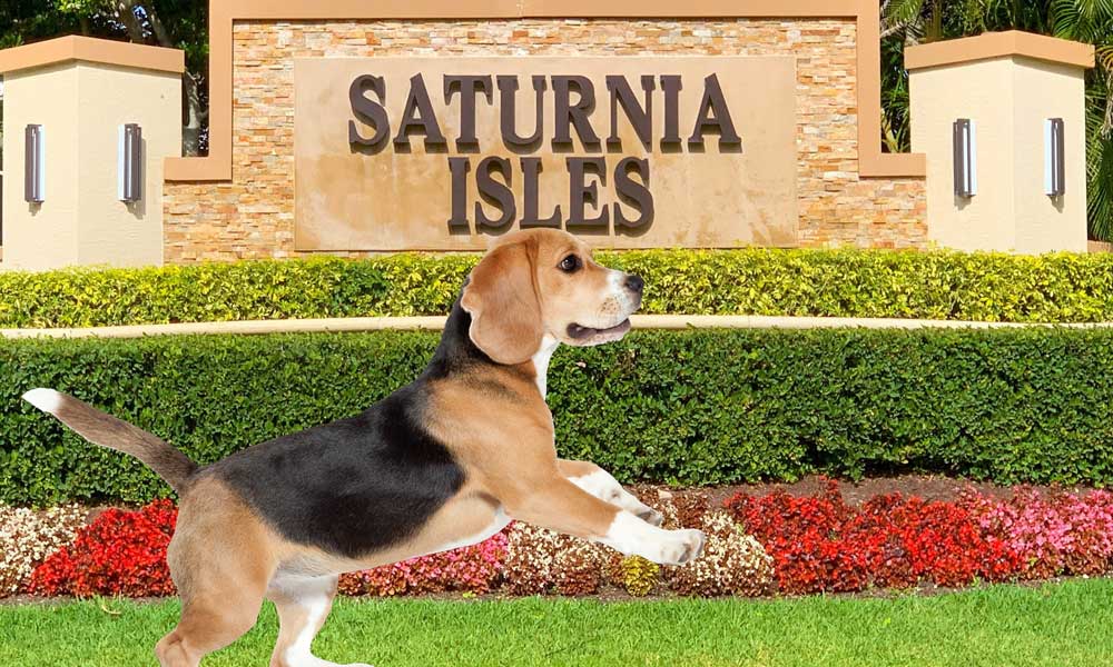 Veterinarian Saturnia Isles West Delray Beach
