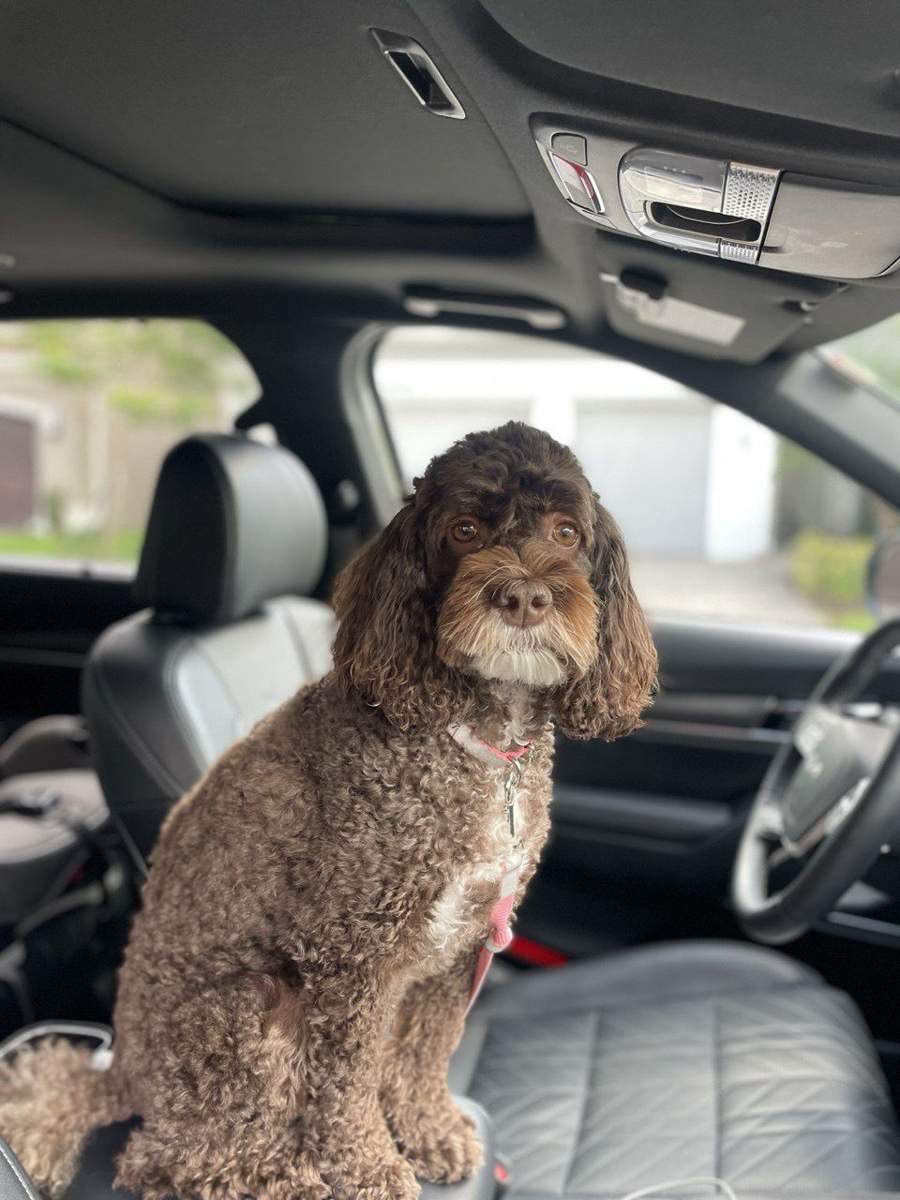 veterinarian near Smith Farm Lake Worth