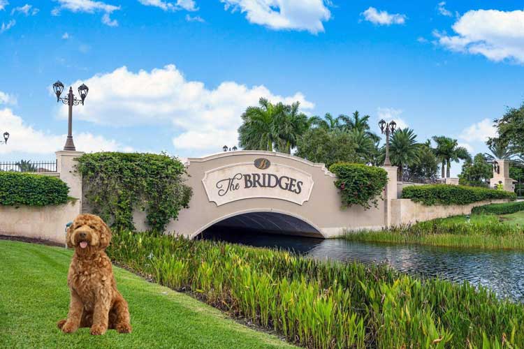 Veterinarian The Bridges West Delray Beach