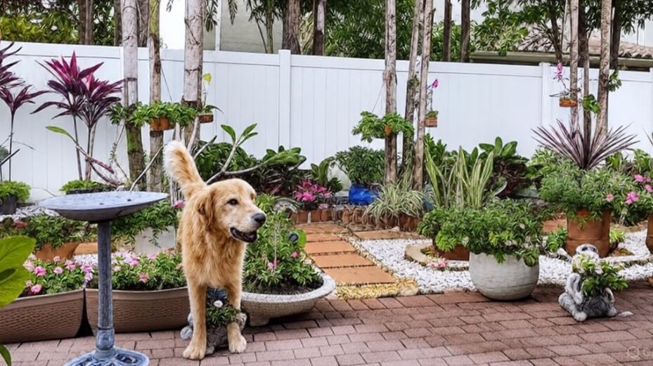 Veterinarian Tuscany North West Delray Beach