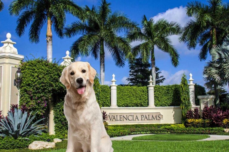 Valencia Palms near FurlifeVets
