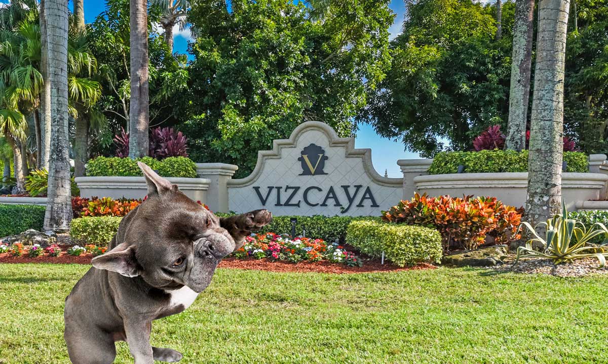 Veterinarian Vizcaya Delray Beach
