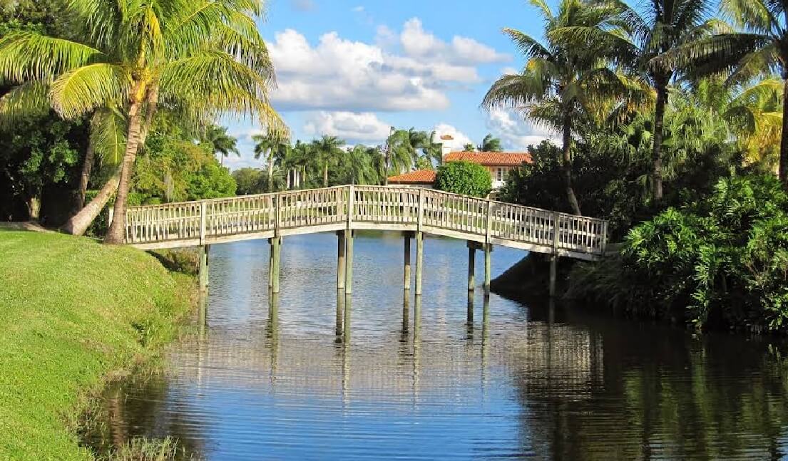 Wellington veterinarian