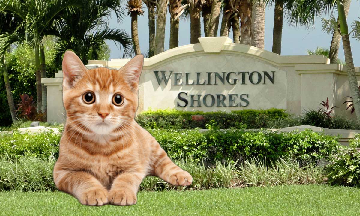 veterinarian near Wellington Shores